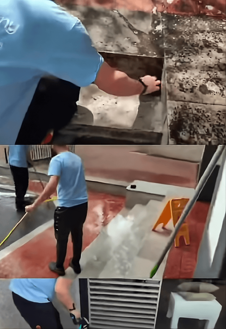 Vedi il Video: